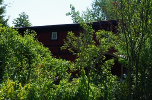 IMGP2396