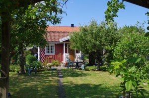 IMGP2424