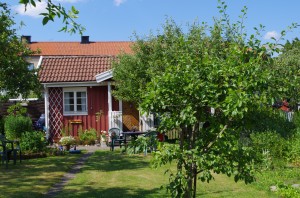 IMGP2425